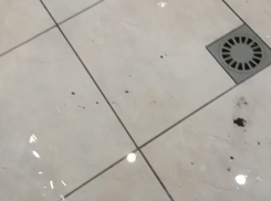 Жители многоквартирного дома в Шахтах пострадали от затопления квартиры канализационными стоками