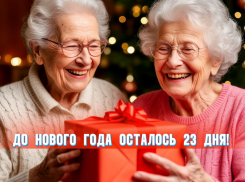 До Нового года осталось 23 дня 