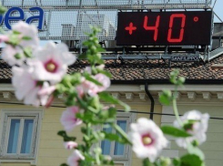 В Шахтах наступит жара до +42