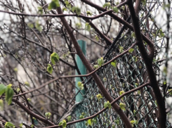 «Какова середина марта - таково и лето»: о погоде и приметах дня