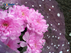 С утра выглянет солнце, а после будет пасмурно