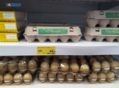В Шахтах подешевели куриные яйца