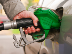 В цене не падает: стоимость бензина и дизтоплива на разных заправках города в сентябре по сравнению с августом