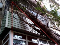 Хождением по инстанциям закончилась попытка шахтинцев убрать старый ствол, рухнувший на дом