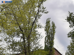 В Шахтах будет еще прохладнее и сильный порывистый ветер