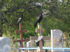 Стали известны подробности жизни покончившего с собой шахтинца в поселке 20 лет РККА