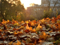 Пасмурной и сырой обещает быть среда в Шахтах