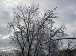 В Шахты пришла настоящая зима: в понедельник будет -10 и снег