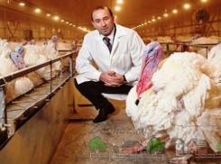 Московские инвесторы отзывают иски к «Евродону»  после того, как о конфликте узнал Путин - «Ведомости»