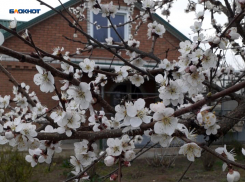 Солнце порадует шахтинцев, но снова поднимется ветер