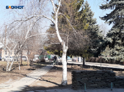 Будет солнечно, но ветер не стихнет