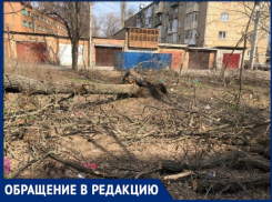 «Никогда такого не было, и вот опять»: шахтинка о проблеме, которую никак не решат