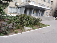 В Шахтах возле собеса срезали лавочки