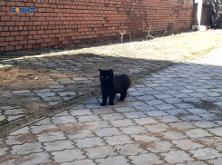 Будет солнечно и по-весеннему тепло, обещают синоптики