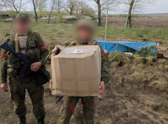 Продуктовые наборы российским участникам спецоперации в Донбассе передали шахтинские школьники 