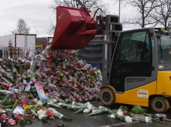 Цветочная отрасль на грани разорения:  российские предприниматели объединяются, чтобы спасти бизнес