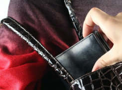 Шахтинские полицейские поймали женщину, укравшую кошелек 