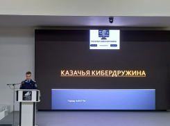 На страже вражеского контента в сети Интернет: в Шахтах действует казачья Кибердружина  