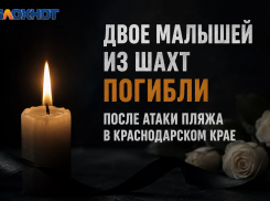 Двое малышей из Шахт погибли в результате атаки БПЛА в Краснодарском крае