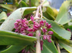 Пасмурная и теплая погода еще порадует