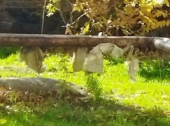 Жители дома в Шахтах страдают из-за проблем с отоплением и инфраструктурой