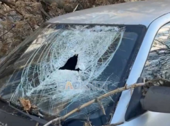 Падение дерева на автомобиль в Шахтах: ещё один случай бездействия властей