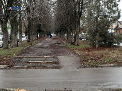 Пасмурная погода днем сменится к ночи дождем