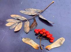 «Осень - в душе человека»: погода в Шахтах 