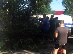 В Шахтах спасатели освободили автомобиль из-под поваленного ливнем дерева 