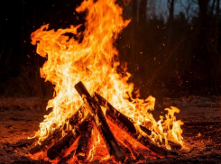С 1 мая запретят разводить костры жителям Шахт