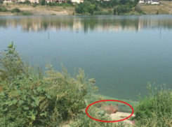 На пруду ХБК обнаружен женский труп