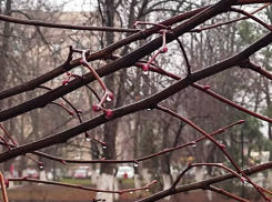 Теплый февраль подтверждает свой статус высоким плюсом и западным ветром