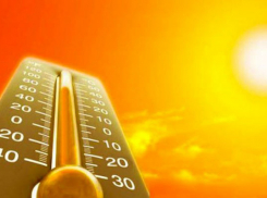 На выходных шахтинцев ожидает аномальная жара