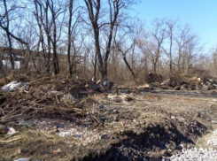 С улицы Грибоедова вывезли 550 тонн отходов: за чистотой в районе теперь будут следить видеокамеры