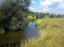 Свалка росла - власти бездействовали: обращение жителей соседнего с Шахтами района наконец-то услышано 