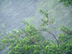 В Шахтах ожидаются сильные ливни и грозы