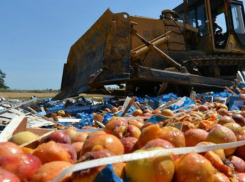 На Дону снова уничтожили 21 тонну фруктов