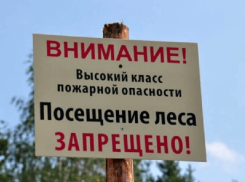 Рядовых дончан в леса пока не пускают