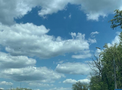 Затмение солнца ушло, а началось затмение сердца: звезды предрекают любовь