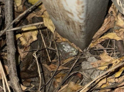 Полицейские задержали подозреваемого в распространении наркотиков в Шахтах