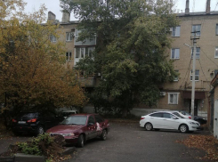 Жители улицы Садовая в Шахтах обеспокоены состоянием старого тополя