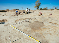 На территории Нижегородской области в районе трассы М-12 обнаружено редкое поселение