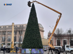 На площади Ленина установлена главная городская ель