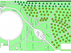 В Александровском парке в Шахтах планируют провести очистку территории и высадить деревья