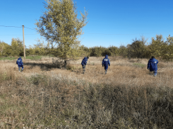  Во время сбора грибов заблудилась женщина