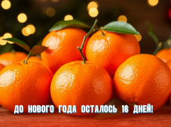 До Нового года осталось 16 дней 