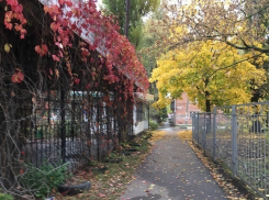 Пасмурной, но сухой обещает быть погода в Шахтах