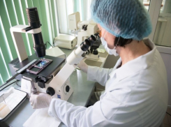 Шахтинская ветлаборатория успешно подтвердила свою компетентность