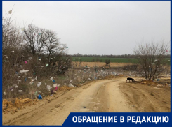 Пошел в сосновый бор, а оказался на мусорной свалке: Родион Пересада говорит о наболевшем