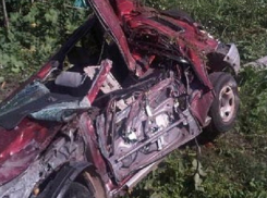 В Шахтах иномарка врезалась в дерево - водитель погиб